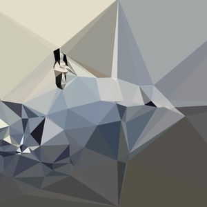 GREY COMP