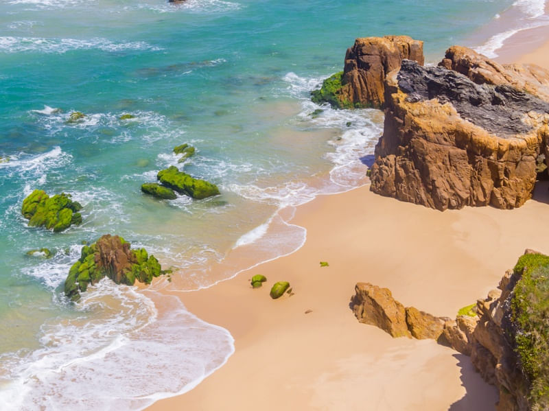 FALÉSIAS E ROCHAS COBERTA DE MUSGOS NA PRAIA