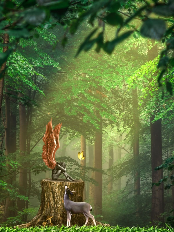 DIANA FAIRY