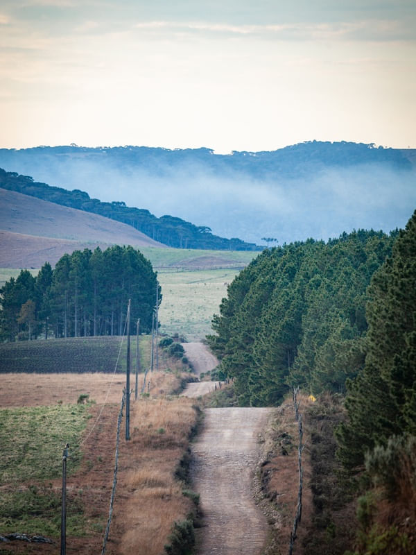 ESTRADA RURAL DE SANTA CATARINA