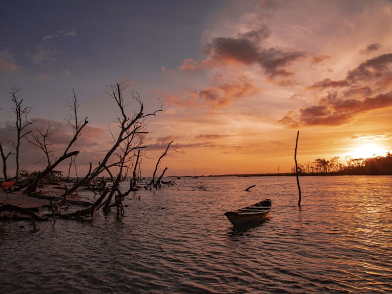 MACAPAZ SUNSET