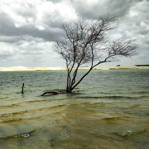 LAGOA DO PORTINHO 3