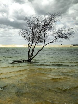 LAGOA DO PORTINHO 4