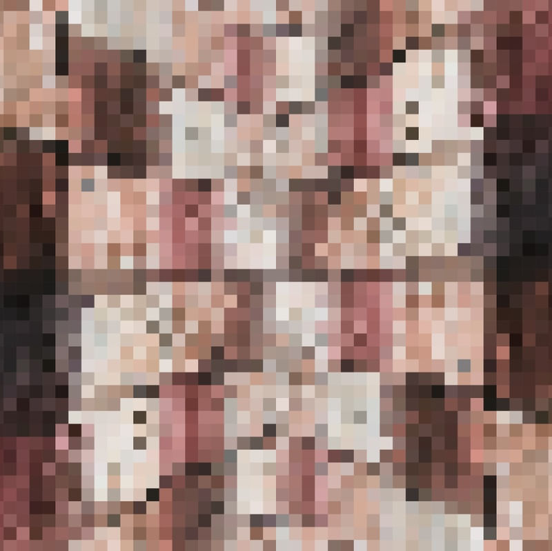 2-DIVERSIDADE