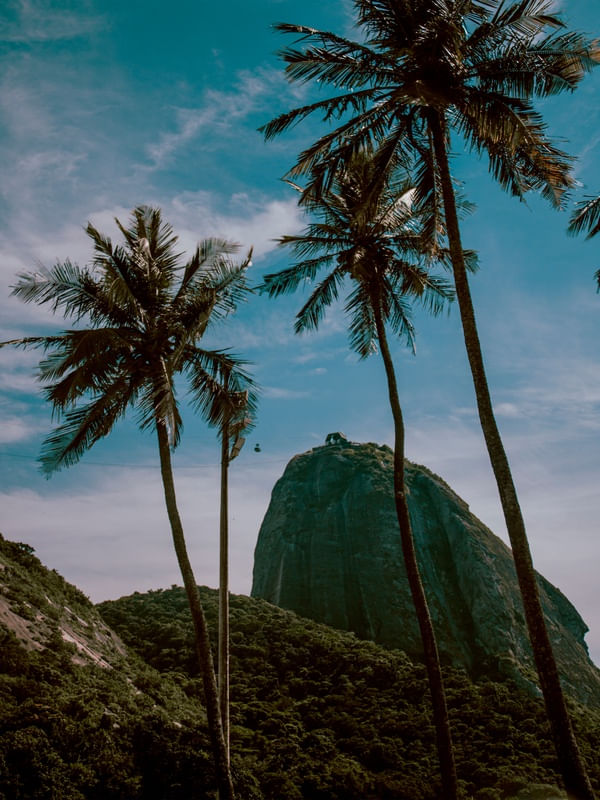 PÃO DE AÇÚCAR - PONTO DE VISTA