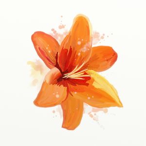 FLORAÇÃO 51
