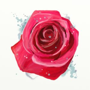 FLORAÇÃO 52