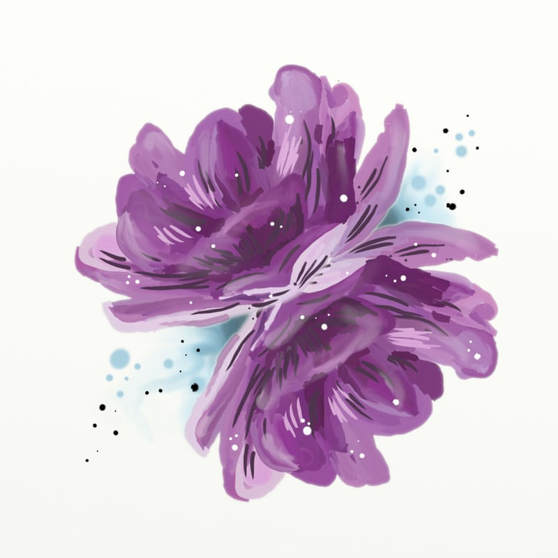 FLORAÇÃO 56