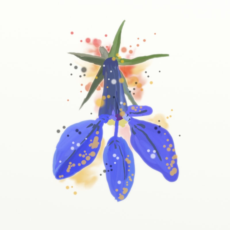 FLORAÇÃO 60