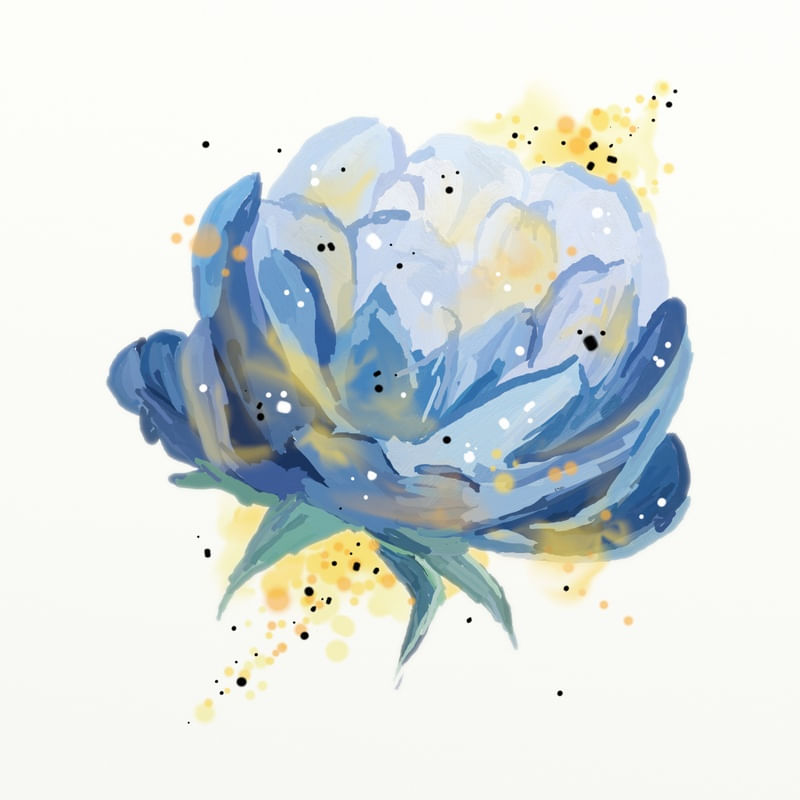FLORAÇÃO 62