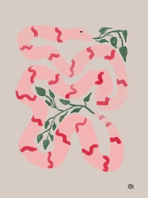 JIBOIA ROSA