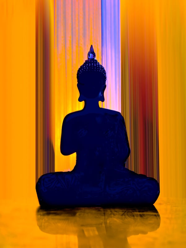 BUDA SILHUETA