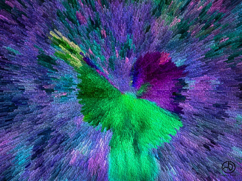 L´ANGE VERT