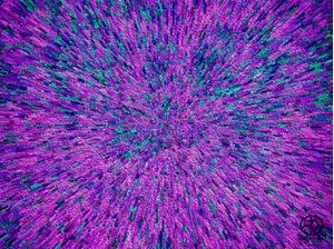 VIOLET ET BLEU