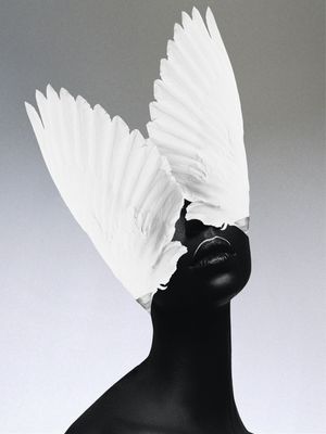 CONCEPT COLLECTION : DOUBTS