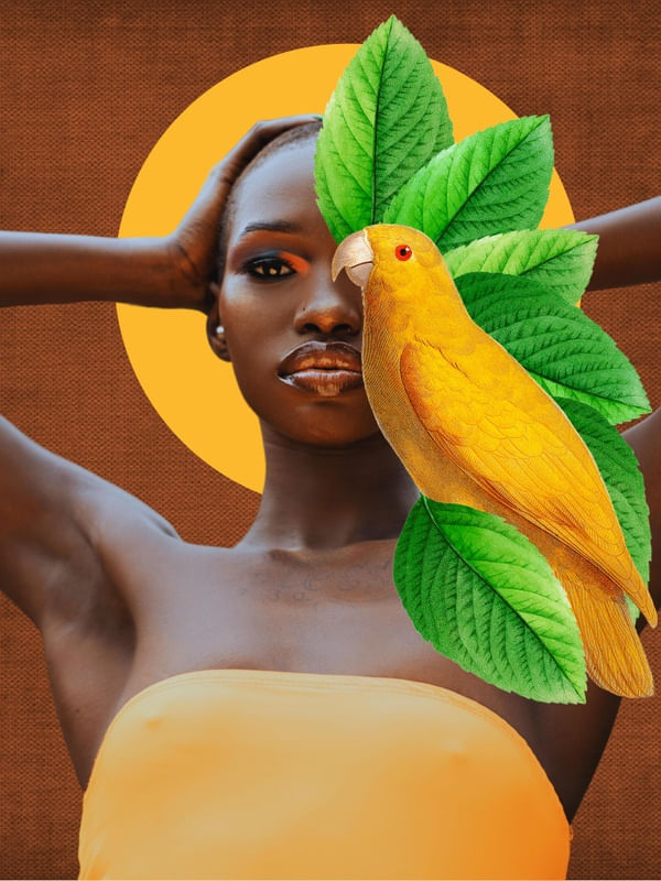 NATURE COLLECTION: FIRST PARROT