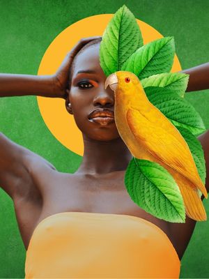 NATURE COLLECTION: SECOND PARROT