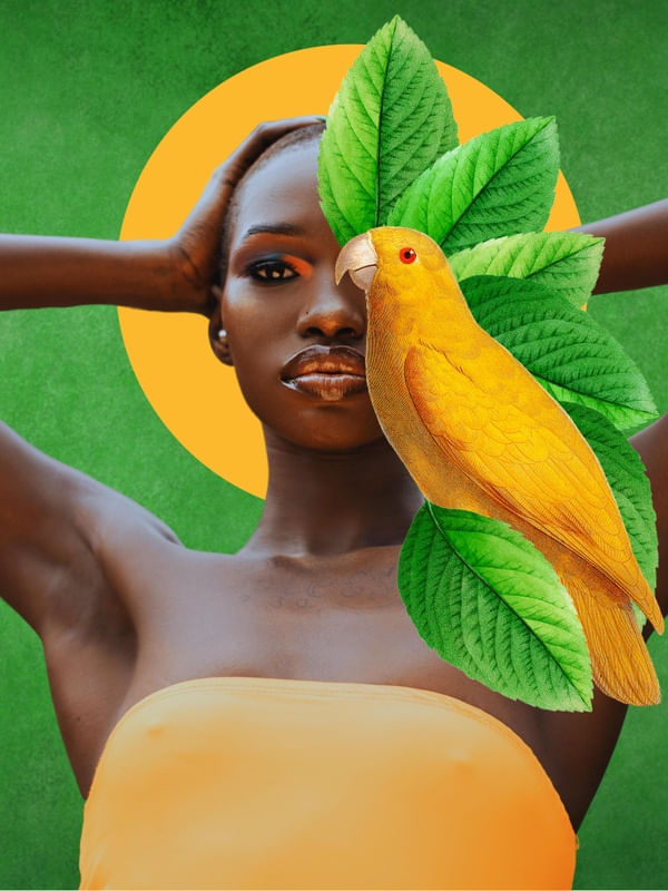 NATURE COLLECTION: SECOND PARROT