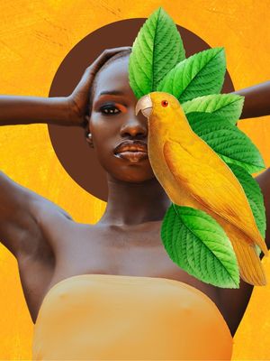 NATURE COLLECTION: THIRD PARROT