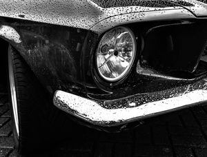 RJ - MUSTANG