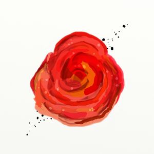FLORAÇÃO 64 (II)
