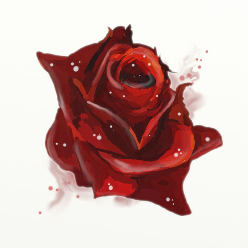 FLORAÇÃO 65
