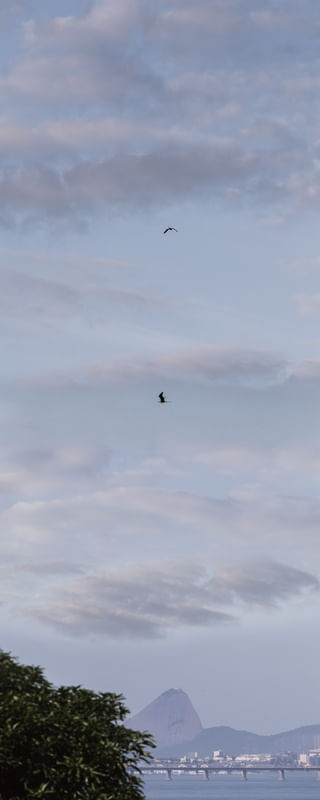 O GIGANTE DA ILHA