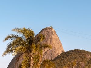 BONDINHO E PALMEIRA