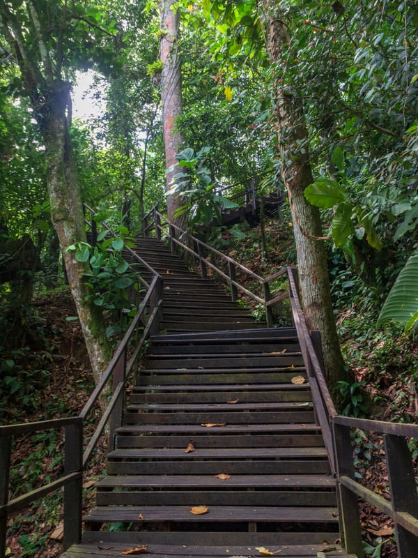 DEGRAUS DA NATUREZA