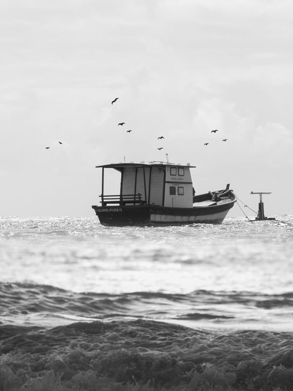 PERDIDO EM ALTO MAR