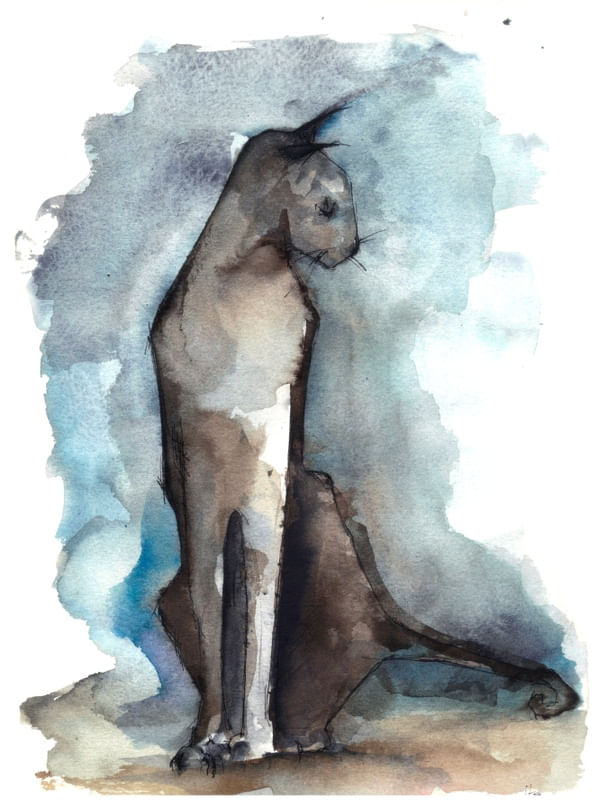 GATO EM AQUARELA
