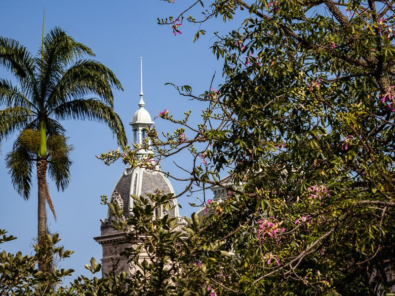 TORRE DO PALÁCIO E PALMEIRA