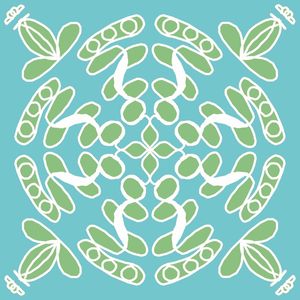 ACQUA TURTLE