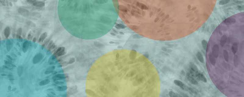 FRUTORIAL_04