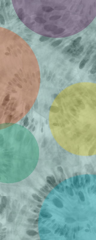 FRUTORIAL_05