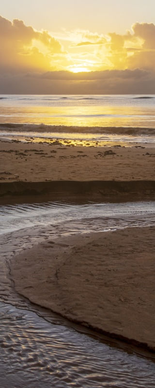 HORA DOURADA. NASCER DO SOL