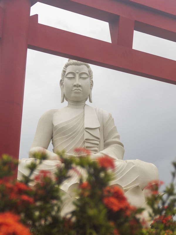 BUDA COM TEMPLO E FLORES