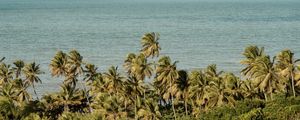 PRAIA DE COQUEIRINHO - PARAÍBA - PANORAMICO I