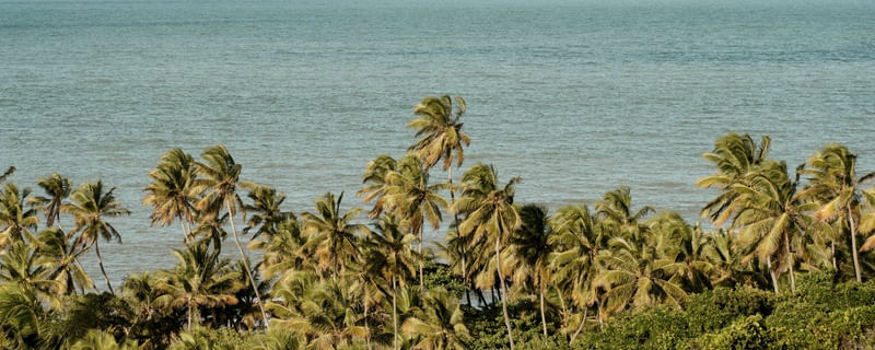 PRAIA DE COQUEIRINHO - PARAÍBA - PANORAMICO I