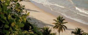 PRAIA DE COQUEIRINHO - PARAÍBA - PANORAMICO II