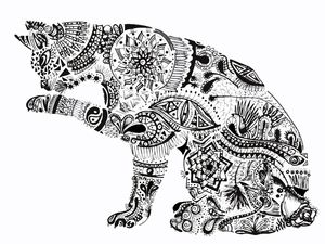 GATO MAORI