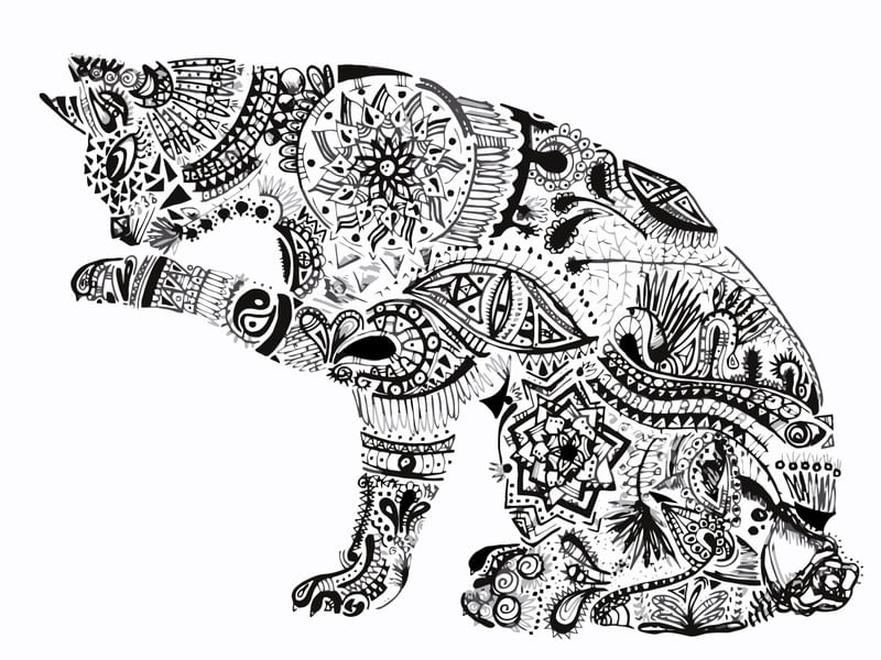 GATO MAORI