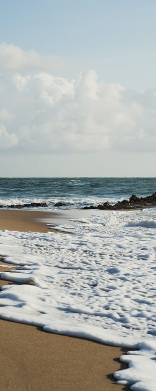 ONDA - PRAIA DE COQUEIRINHO, PB - PANORÂMICO