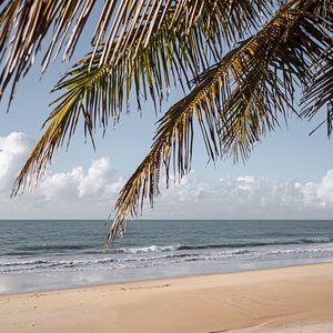 PRAIA DE COQUEIRINHO - PARAÍBA - QUADRADO I