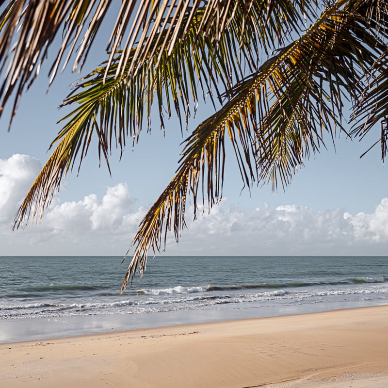 PRAIA DE COQUEIRINHO - PARAÍBA - QUADRADO I