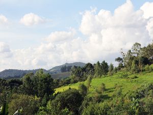 VIDA NO INTERIOR