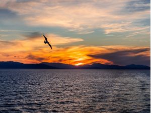 SUNSET EM ALTO MAR 2 (TRAVESSIA OCEANO ATLÂNTICO)