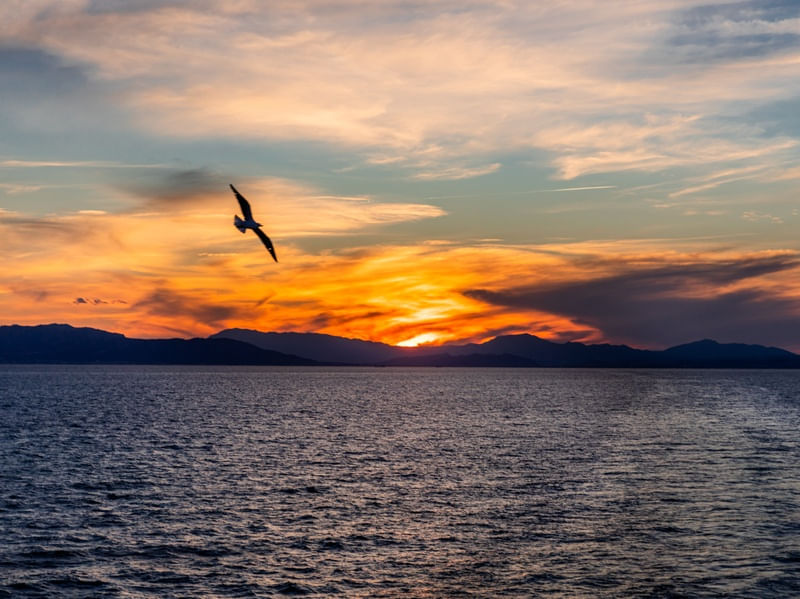 SUNSET EM ALTO MAR 2 (TRAVESSIA OCEANO ATLÂNTICO)