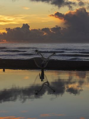 PESCA AO NASCER DO SOL NA LAGOA DE CARAPEBUS III