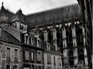 DA SÉRIE REIMS #49